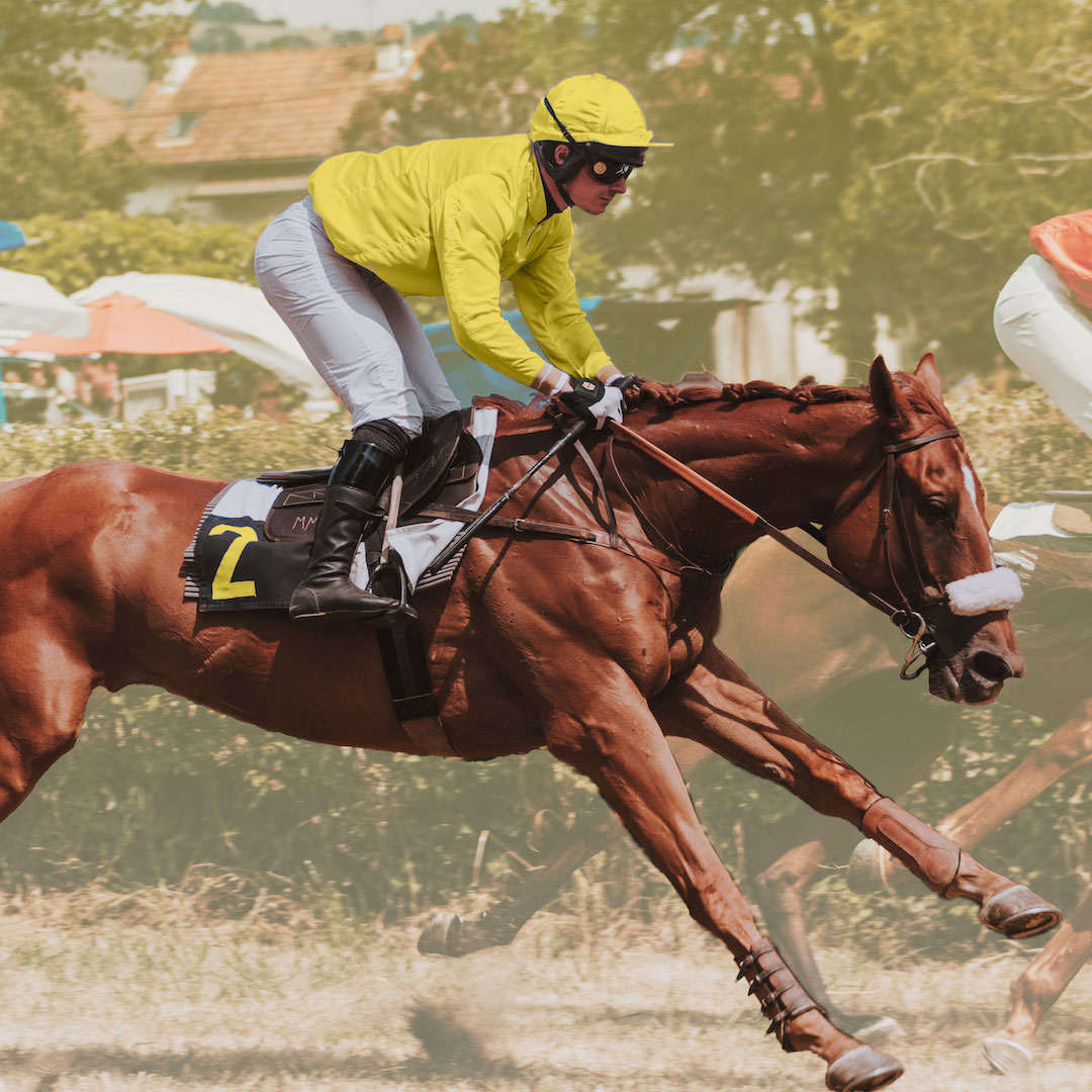 Race horse in action with jockey wearing gold silks